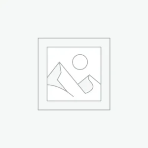 عنصر نائب Placeholder